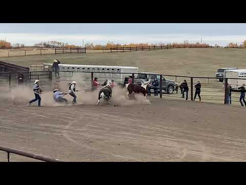 Ranfurly Alberta, Canadian Wild Horse Race Association.