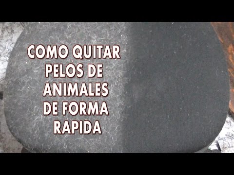 Video: Cómo Quitar El Pelo De La Ropa, Incluido El Gato Y Sin Rodillo