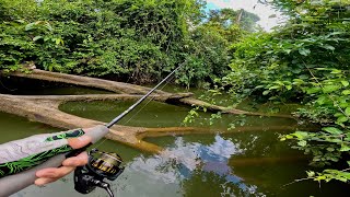 Pescando y Explorando Río LLENO de Peces Exóticos en la Jungla de Nicaragua!