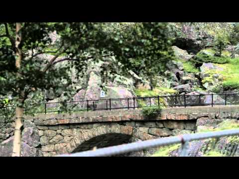 Ranker Video