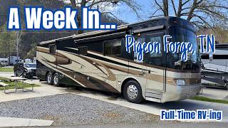 Celebrity A Busy Week BUT We Still Had Fun//NEXT STOP...GEORGIA Net Worth