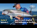 How to catch Kingfish and Mulloway on live bait.