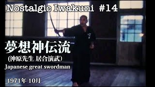 【Nostalgic Iwakuni #14】夢想神伝流 （沖原先生 居合演武）