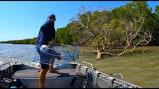 MUD CRAB Catch and Cook | CRABBING SHALLOW WATER