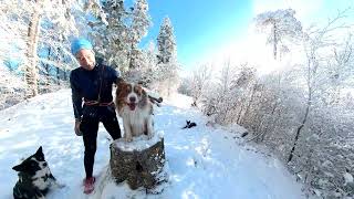 Wintertrailrun - Canicross by cocoshunter99 101 views 4 months ago 4 minutes, 4 seconds