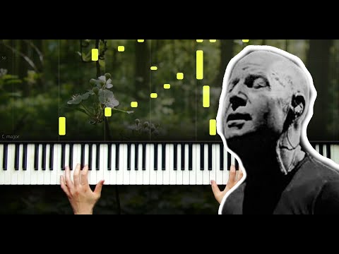 Ah Bu Ben - Piano by VN