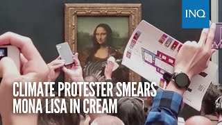 Climate protester smears Mona Lisa in cream Net Worth