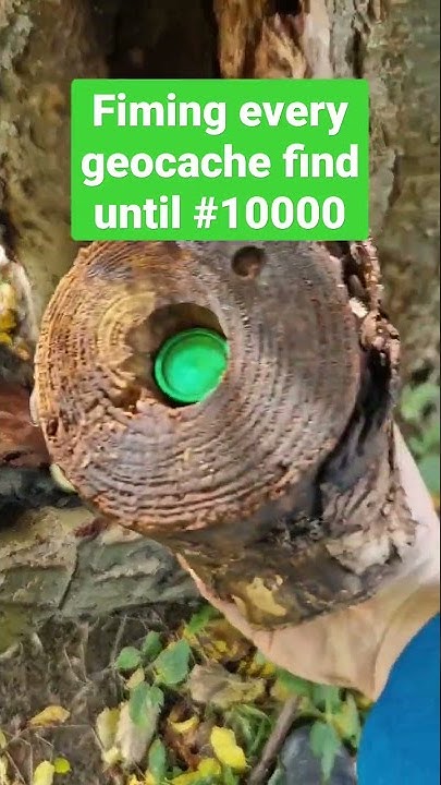 Every geocache find until #10000 - #12 / #shorts - YouTube