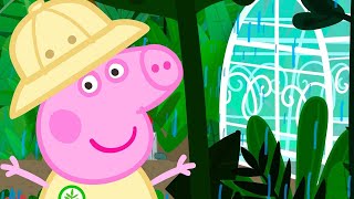 Peppa Pig Explores The Rainforest | Kids Tv And Stories