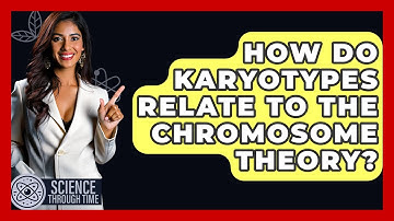 How Do Karyotypes Relate To The Chromosome Theory? - Science Through Time