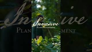 Our dedication to invasive plant management. #sustainablesolutions