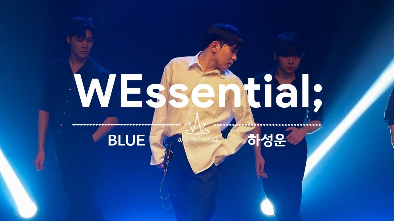 BLUE - 하성운 | 2024 와일드아이즈 제9회 정기공연 WEssential; 우리들의 플레이리스트