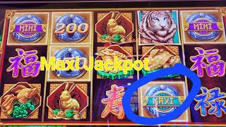 Huge WIN! Mighty Cash! We Got The MAXI  #casino #fun