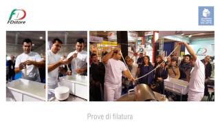 FDstore - Fiera di Cremona 2015