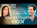 ВЗЛОМ ВАШЕГО МОЗГА! Интервью: Моран Серф и Ада Кондэ #Адагости