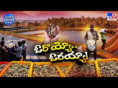 AP Aqua Crisis: Shrimp Feed Prices Hiked | ఓ'రొయ్యో'   ఓరయ్యా! TV9 - TV9