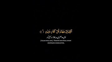 القارئ محمد ديبيروف ((سورة ق))