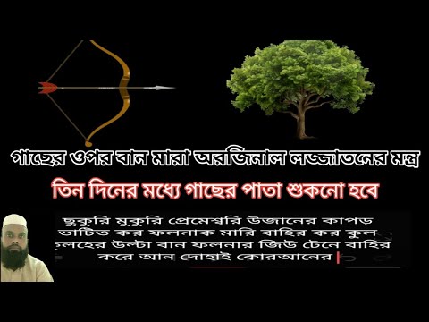 গাছের ওপর বান মারা মন্ত্র। লজ্জাতনের মন্ত্র। lojjatunnesa 