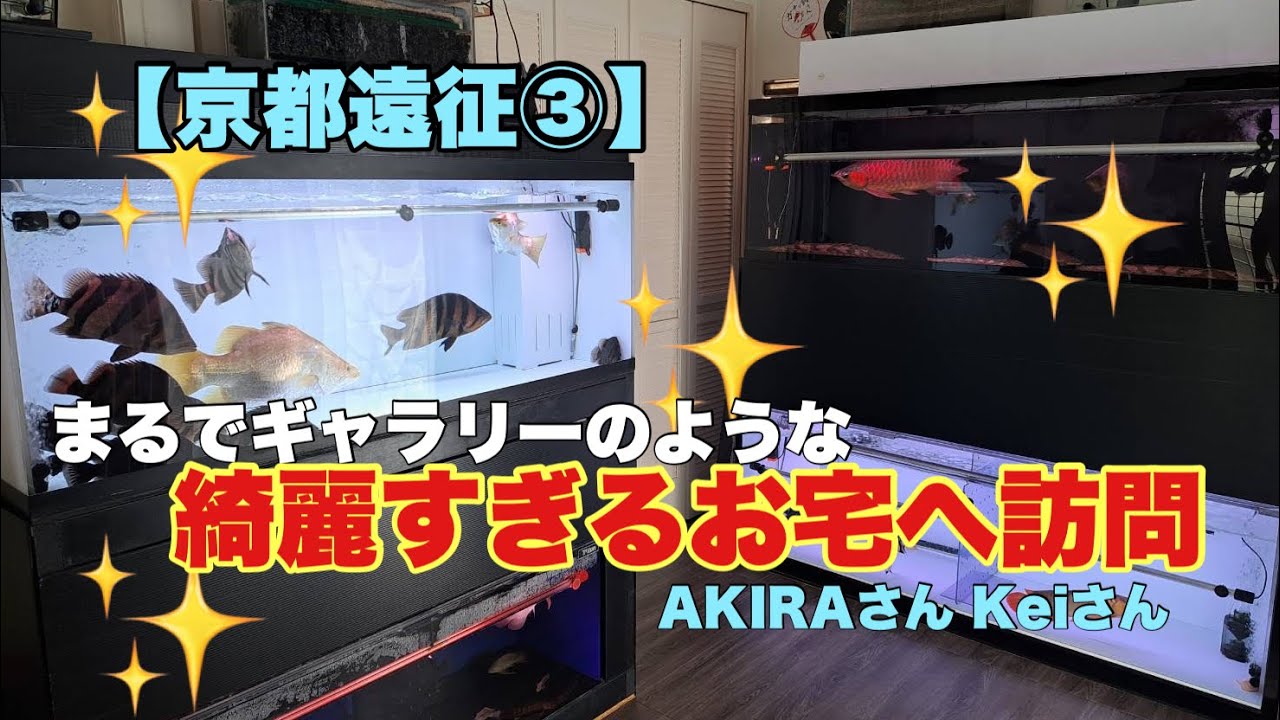 【京都遠征③】綺麗すぎるお宅　AKIRAさん　Keiさん