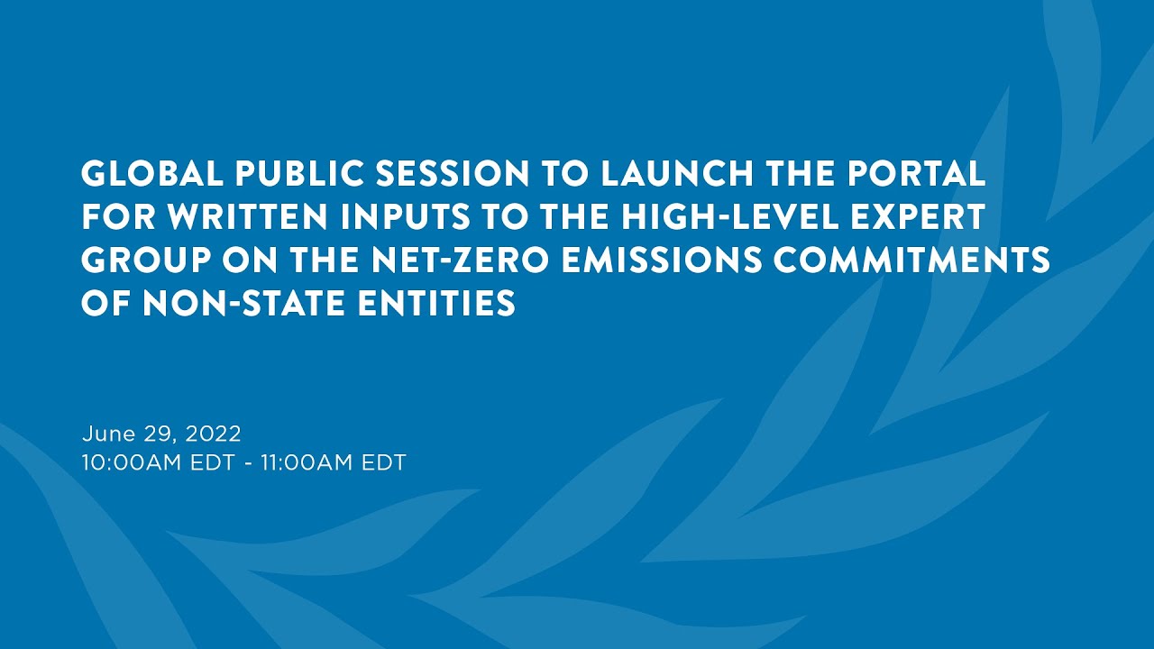 Global public session with the Expert Group on Net-Zero Emissions Commitments of Non-State Entities