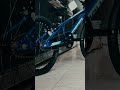 Polygon Rogue 20 BMX