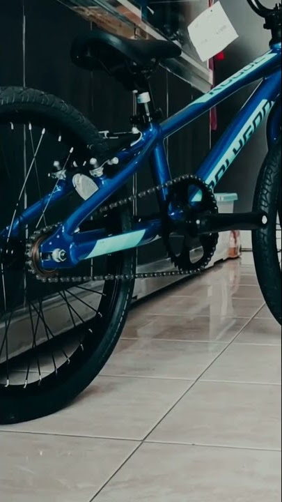 Polygon Rogue 20 BMX
