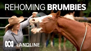 Rehoming brumbies transforms lives for horses, owners | Landline | ABC Australia