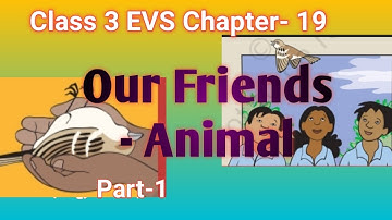 Class 3 EVS Chapter- 19 Our Friends - Animal Part 1