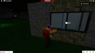 Roblox Bloxburg Modern Sliding Window
