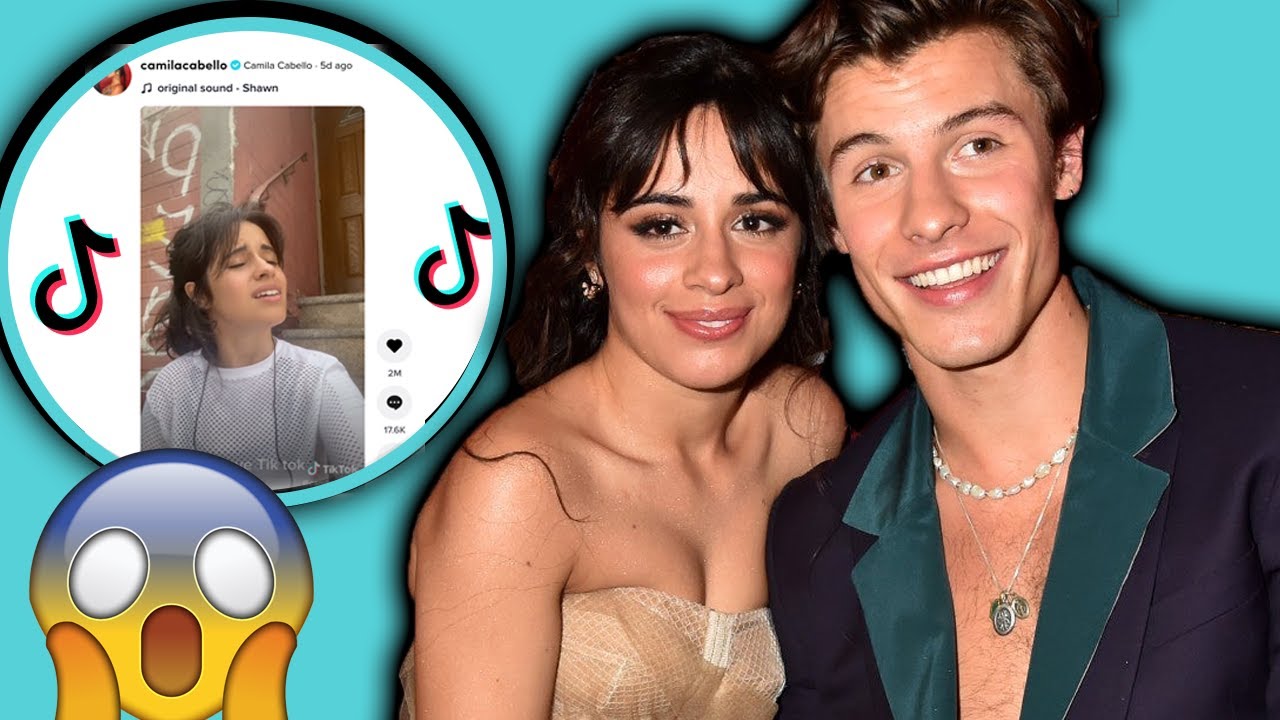 Camila Cabello TROLLS Shawn Mendes 