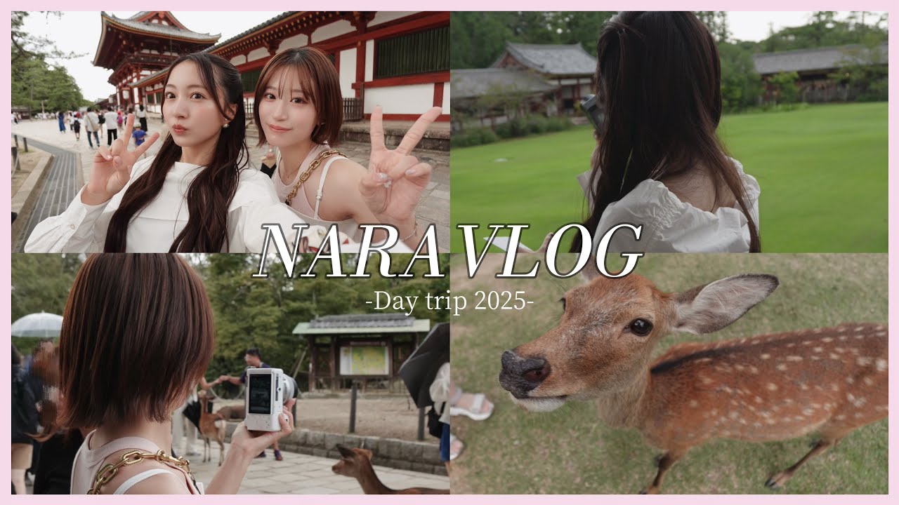 【Vlog】奈良でひたすら鹿と戯れる🦌ゆるvlog