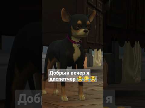 добрый вечер я диспетчер 😂 Симс 4 #симс4 #sorts #sims4 #funny #gaming #приколы #meme #cat #мемы #dog