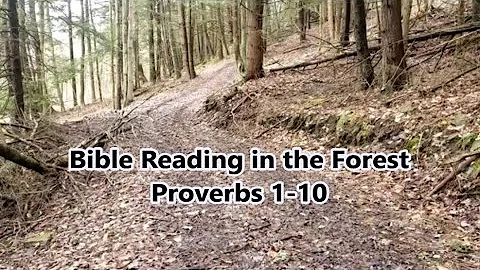 Bible Reading in the Forest - Proverbs 1-10