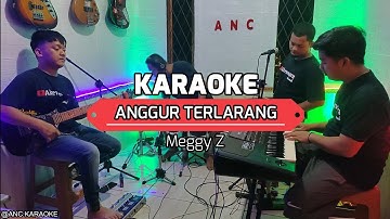 ANGGUR TERLARANG KARAOKE NADA COWOK Meggy Z