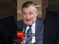 Ted Cruz warns AI could pose a catastrophic threat