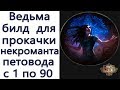 Path of Exile: Ведьма - Некромант  - Стартовый петоводный билд