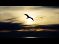 Indie/Folk covers Compilation