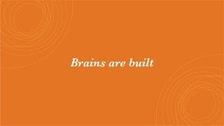 Brains are Built Not Born