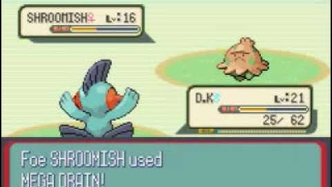 Pokemon Ruby Walkthrough Part 13