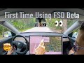 Tesla FSD Beta First Test Drive/Impressions 6/5/22