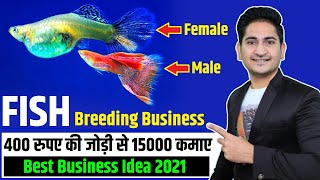 400 की जोड़ी से 15000 कमाएNew Business Ideas 2021, Best Business Ideas, Fish Breeding Business India