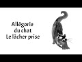 Le lcher prise avec lallgorie du chat