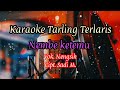 Nembe Ketemu || Karaoke Tarling Tengdung || Nengsih