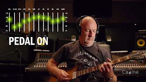 6 Ways to use a Caline 10 Band EQ pedal