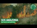 SOS Amazonas // Weltweite Aktionstage Fridays for Future  [DE]