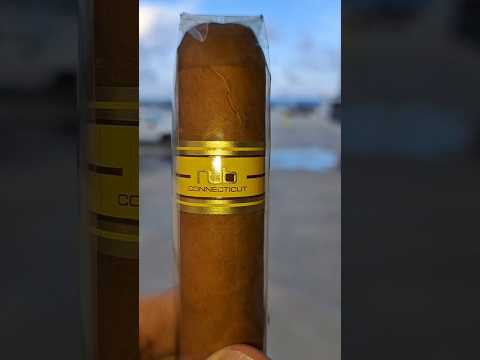 Oliva Nub Connecticut Review