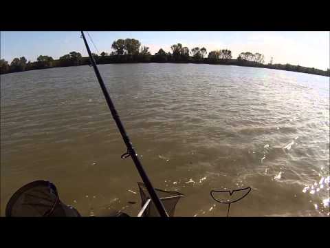 ლოქო ფიდერით.сом на фидер