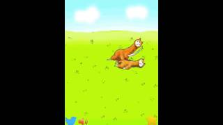 Alpaca Evolution iOS Demo on iPhone