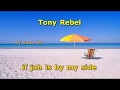 Tony rebel  if jah is standing by my side lyrics