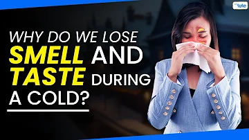 Why Do We Lose Smell and Taste During Cold | Reason Behind Lost Smell👃| Letstute